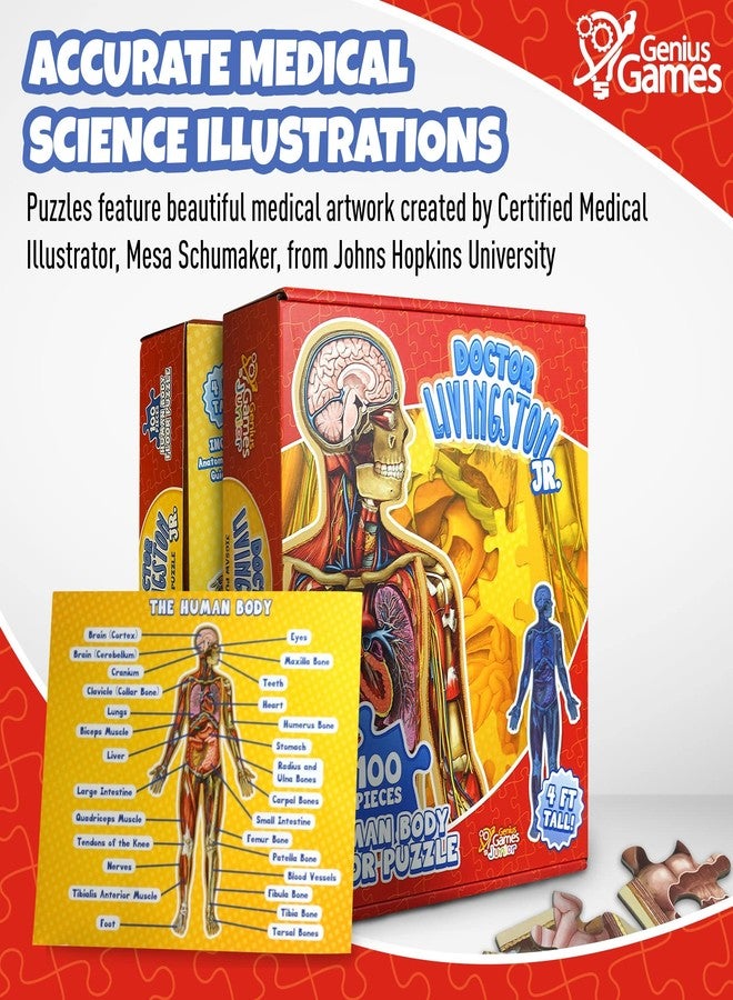 Genius Games Human Anatomy Kids Floor Puzzle - Dr Livingston Jr's 100-Piece Full Body Jigsaw Puzzle - 4 FT Medically Accurate Floor Puzzles for Kids Ages 6-8, 4-8, 8-10 - Educational Toys for Children, Toddlers - Image 5